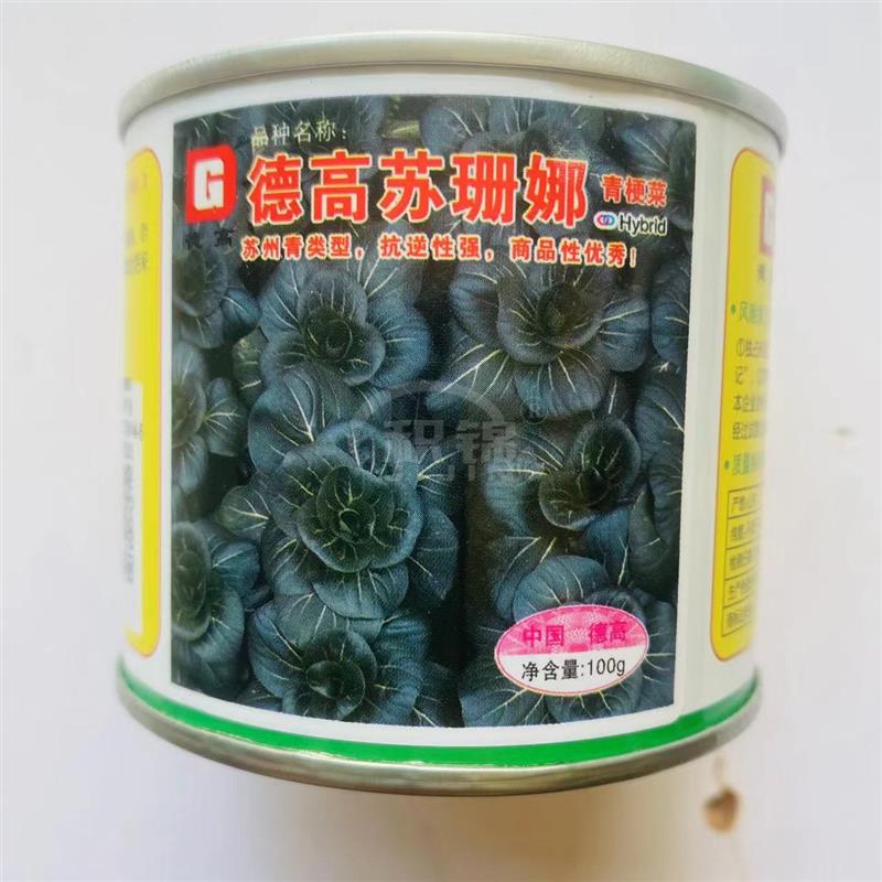 德高苏珊娜青菜种籽抗病高产耐热黑叶苏州青蔬菜四季矮脚黑菜种子
