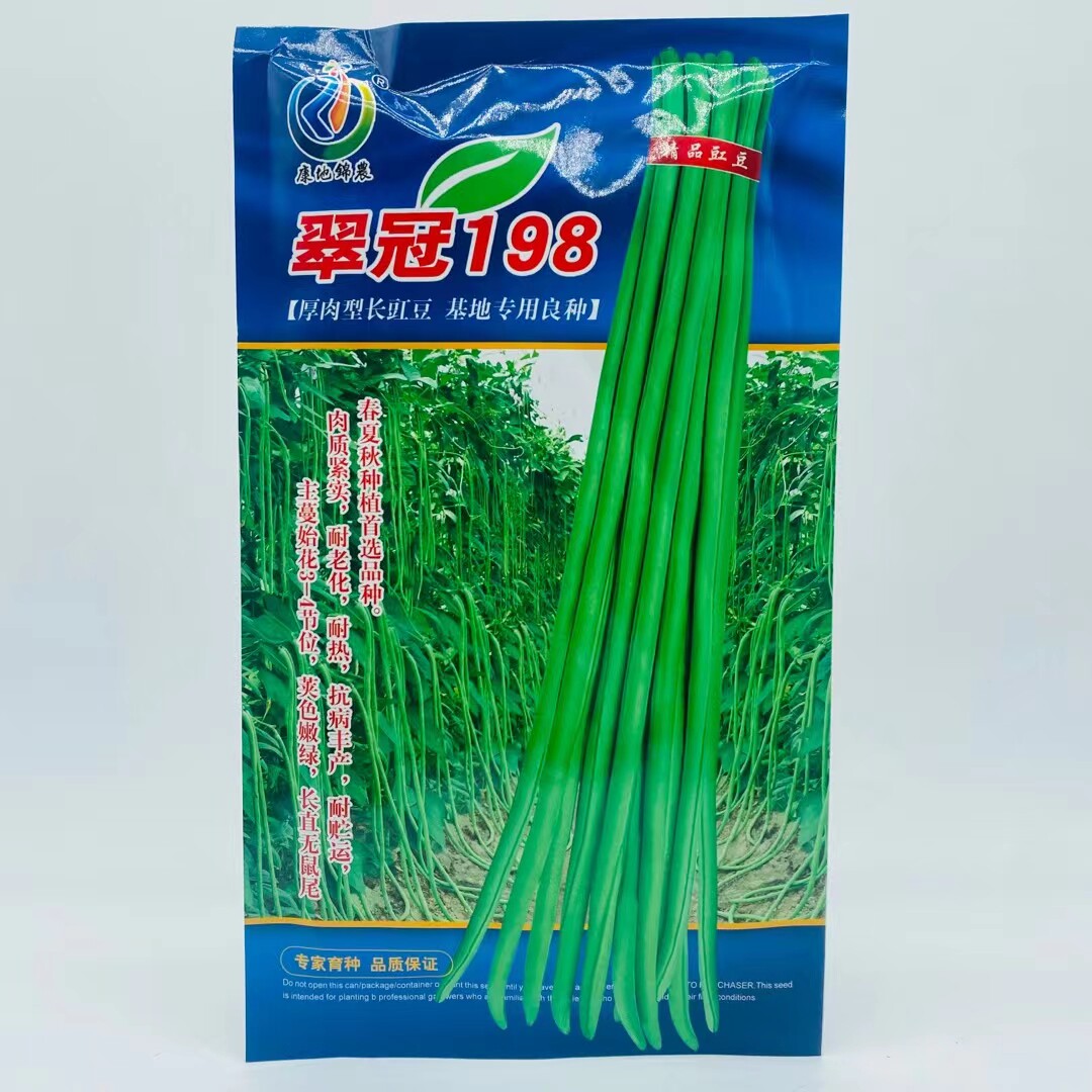 基地专用康地翠冠198厚肉长豇豆种子早中熟耐热抗病春夏秋播高产