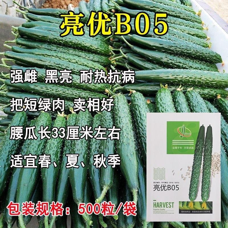 亿联特亮优B05夏季耐高温强雌油绿黑亮黄瓜种子高产抗病青瓜种籽