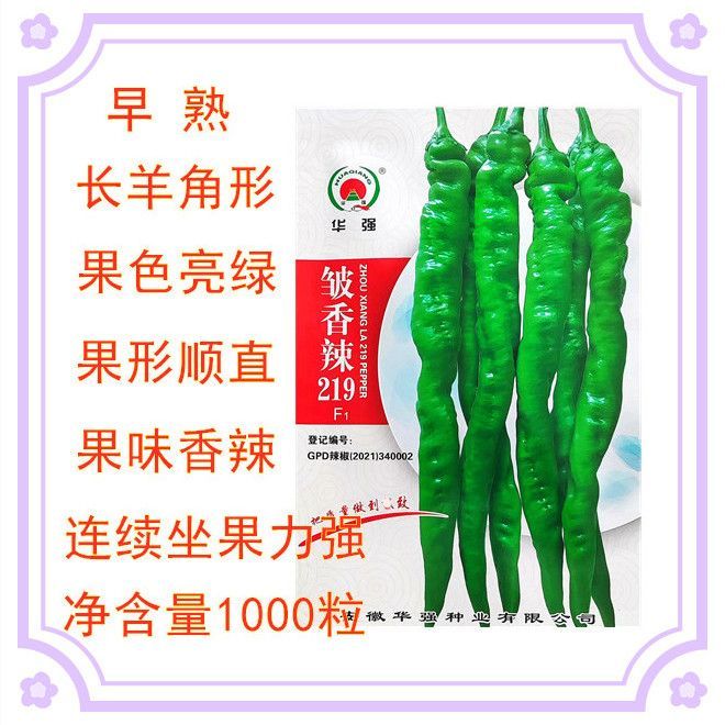 华强皱香辣219辣椒种子羊角型辣味浓皱皮螺丝椒陇椒春秋蔬菜种 籽
