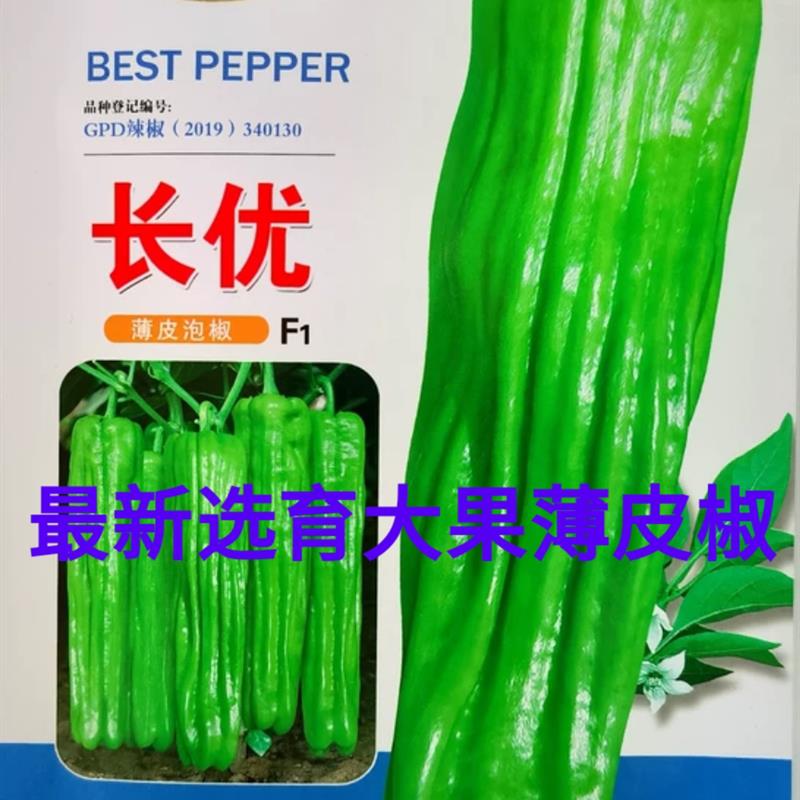 长优黄绿皮大果薄皮泡椒种子中早熟辣椒种籽抗病青椒籽辣椒两用椒