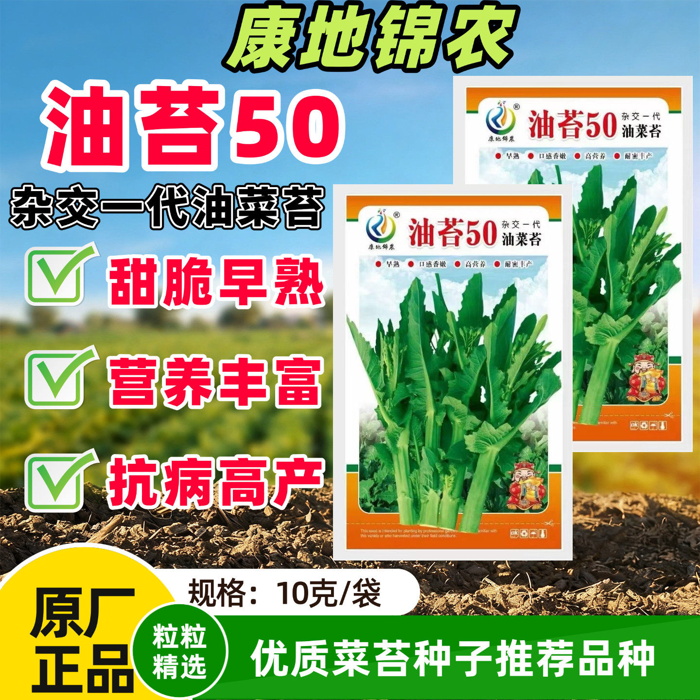 康地油苔50油菜苔种子早