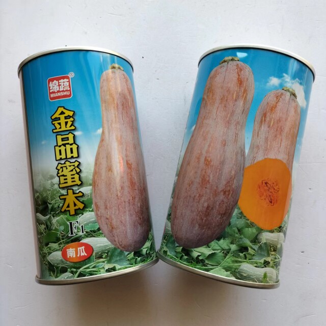 金品蜜本南瓜种子超甜粉面密本甜南瓜早熟高产大果老南瓜种子罐装