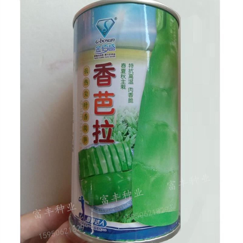 香芭拉莴笋种子耐热青皮青肉尖叶香莴苣种籽四川夏秋季青笋蔬菜孑