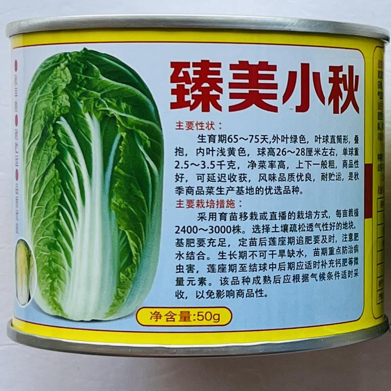 山东黄心秋大白菜种子种籽孑菜种白莱四季秋季冬季籽种蔬菜子菜籽