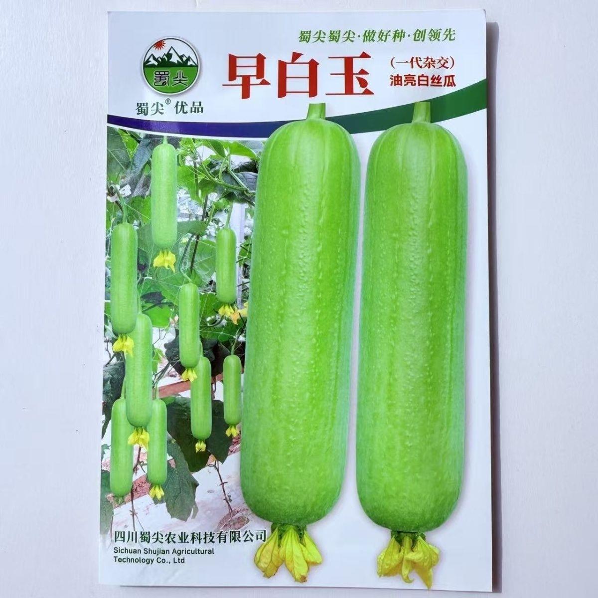 蜀尖早白玉白皮丝瓜种子杂交中短棒形早中熟硬度好皮白光滑有光泽
