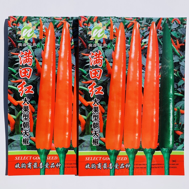 泰国超长大果型朝天椒农好种业满田红朝天椒种子泰国进口辣椒种子