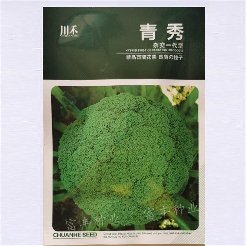 青秀西兰花种子杂交高产花菜耐寒花王菜籽西兰花椰菜种籽四季大田