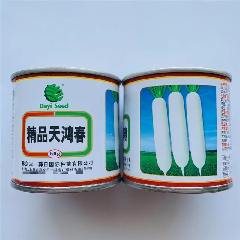 白萝卜种子精品天鸿春长白萝卜种籽春秋播种水果萝卜甜脆高产抗病