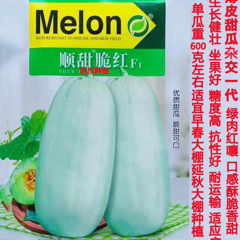 甜瓜种子籽顺甜脆红绿皮红瓤酥甜可口香瓜酥瓜种籽南北方春秋大棚