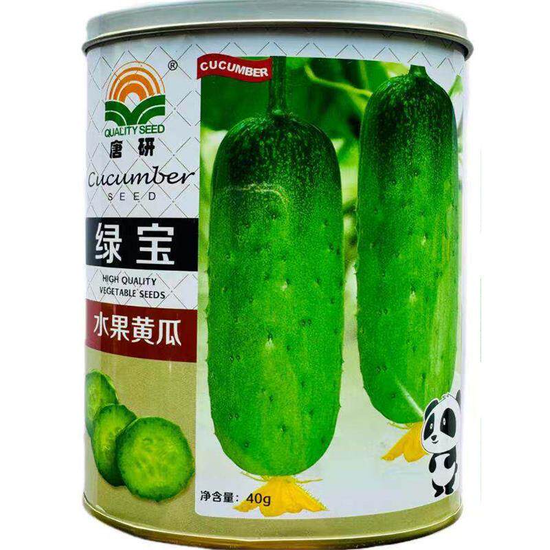 绿宝黄瓜种子水果早熟高