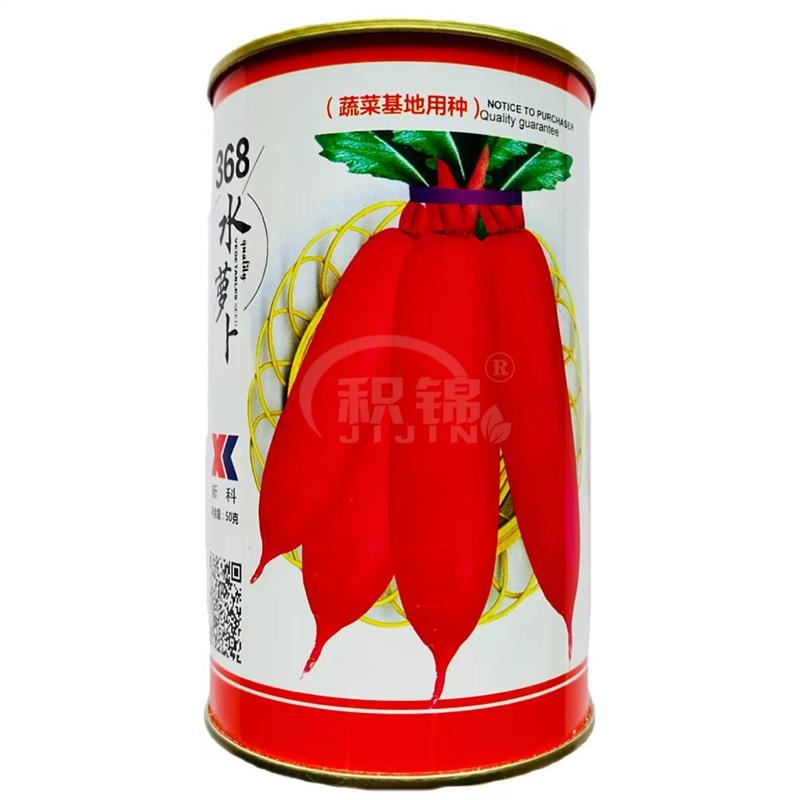 水果萝卜种子四季萝卜籽种368水萝卜种子耐糠心好吃红皮白肉萝卜