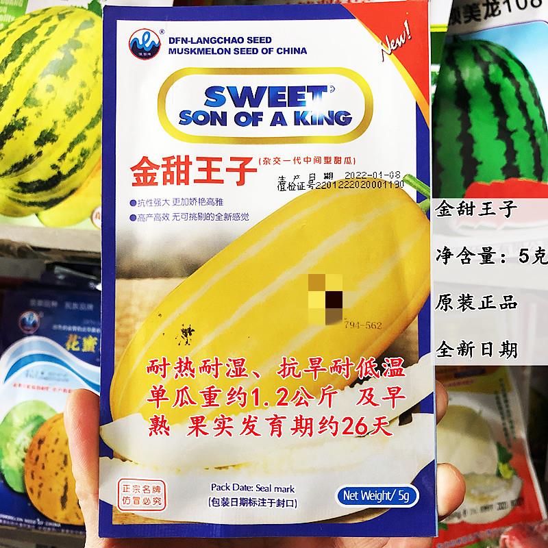 金甜王子甜瓜种子黄皮白肉香瓜种籽抗病耐热抗旱耐低温瓜种孑春季