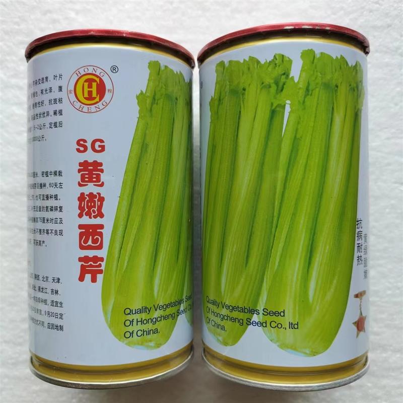 SG黄嫩西芹芹菜种子抗病高产耐寒四季蔬菜芹菜种籽农家春秋季播种