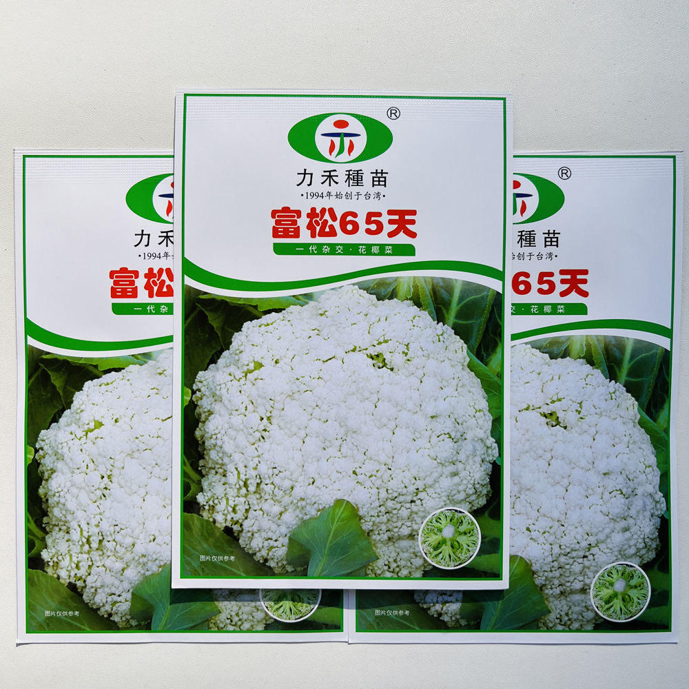 力禾富松65天白花菜种子