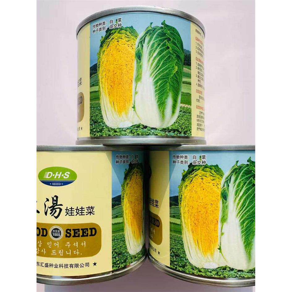 上汤娃娃菜种子一杂交迷
