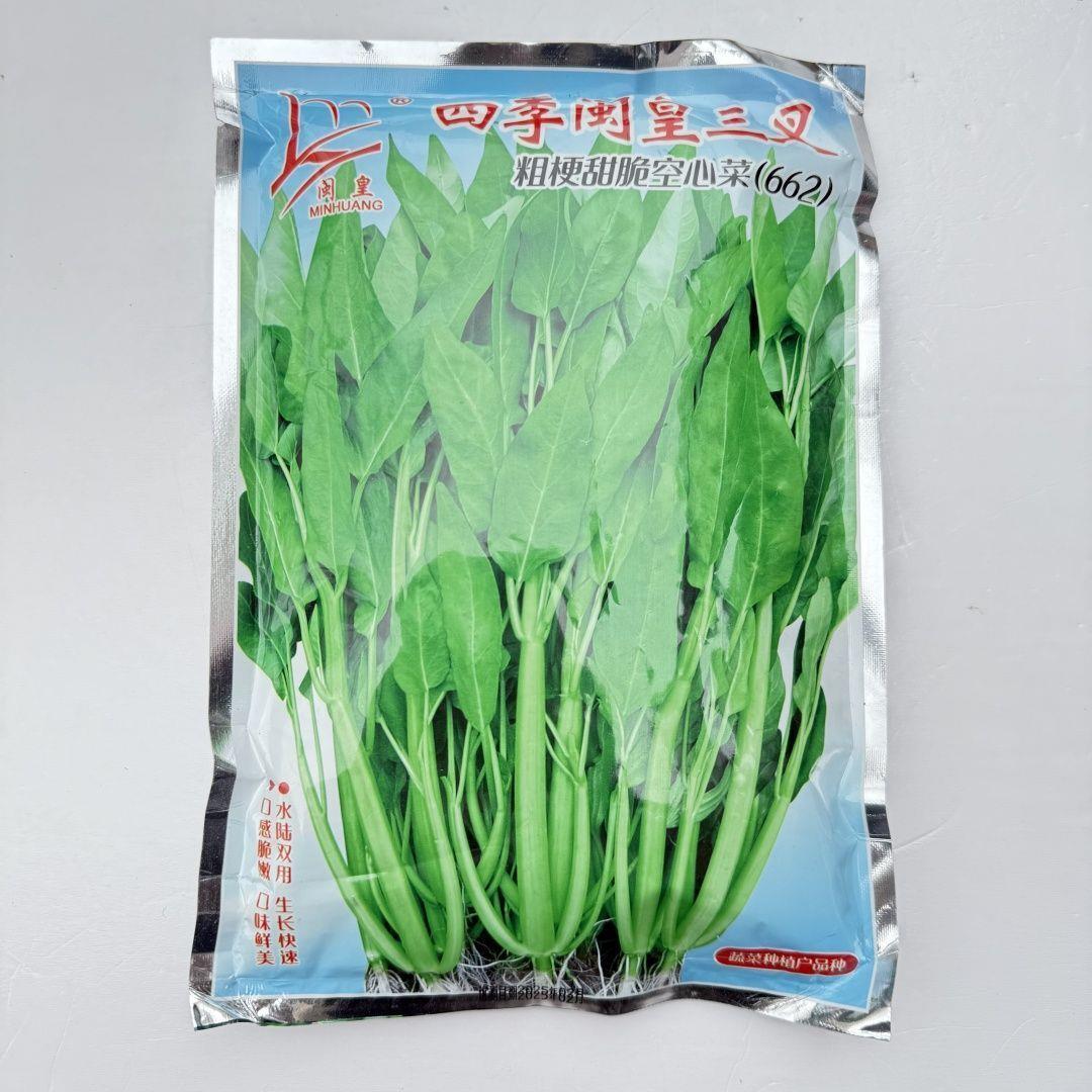 闽皇三叉空心菜种子四季大叶粗梗甜脆蕹菜通心菜种籽水地旱地种植