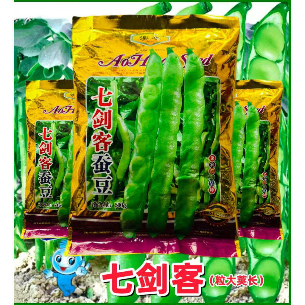 七剑客蚕豆种子七粒胡籽