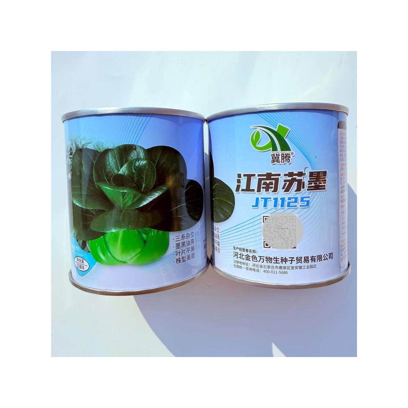 蔬菜瓜果四季青菜种子江