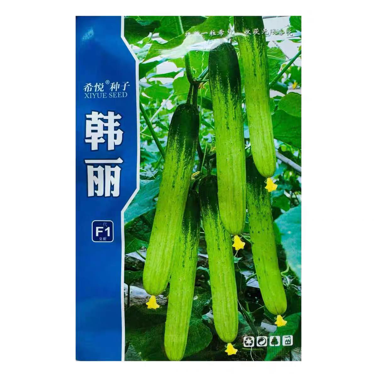 韩丽黄瓜种子强雌早熟长