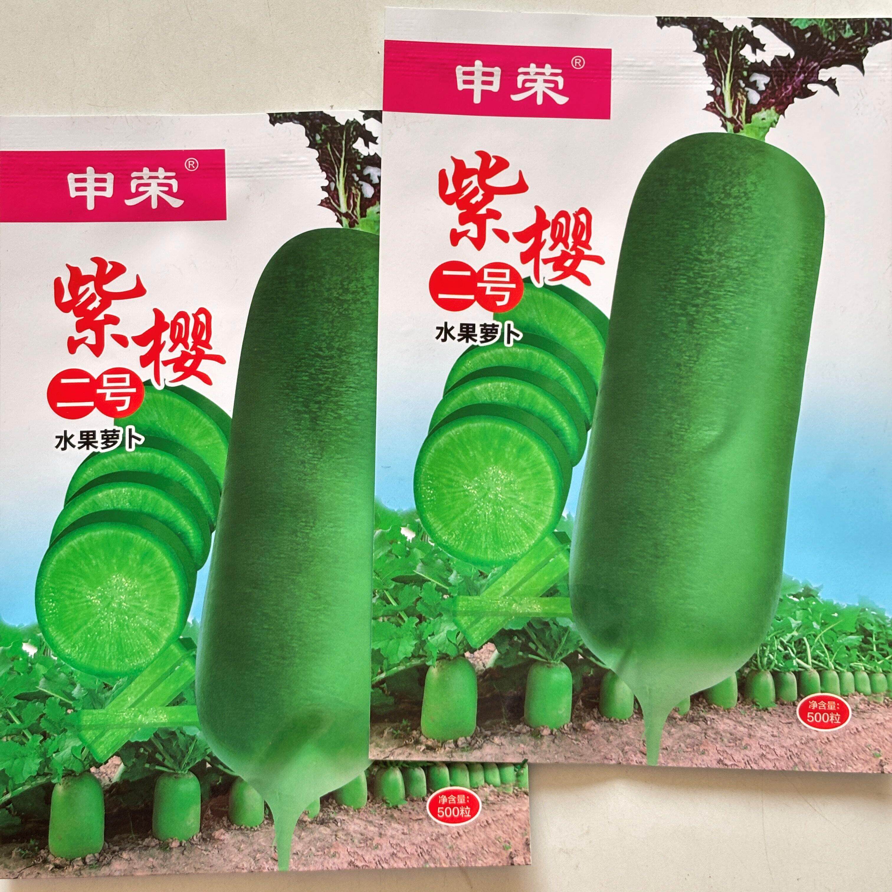 申荣紫樱二号水果萝卜种图片