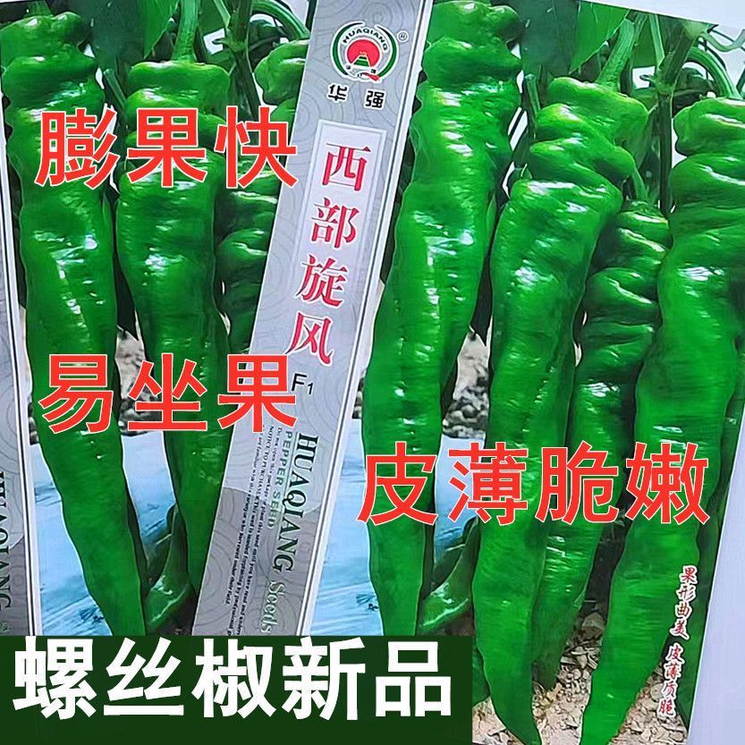 华强西部旋风螺丝椒辣椒种子优质早熟膨果快挂果多商品性佳春秋播