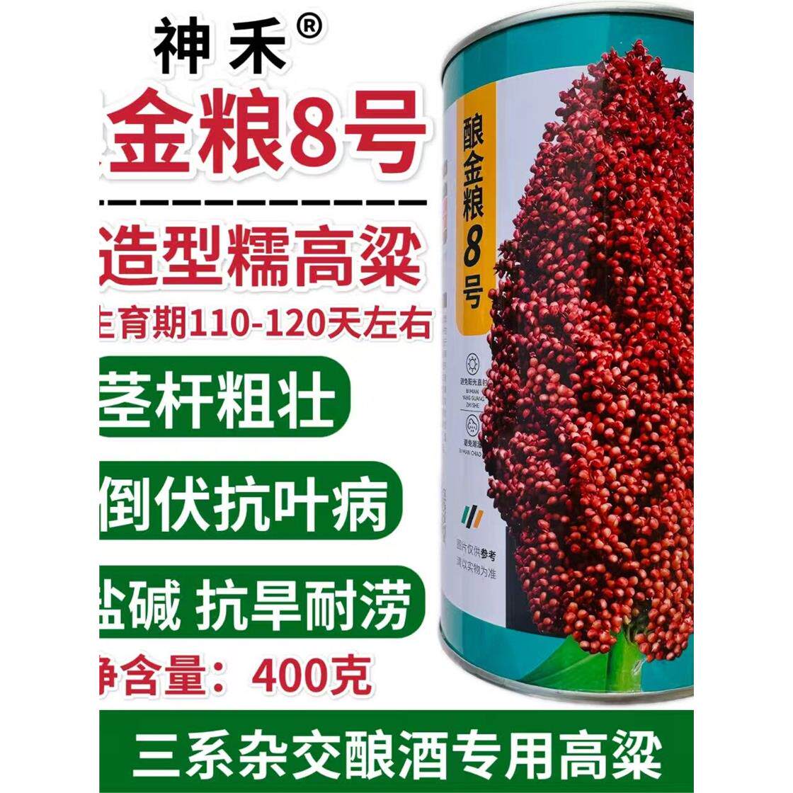 酿金粮8号高粱种子杂交矮