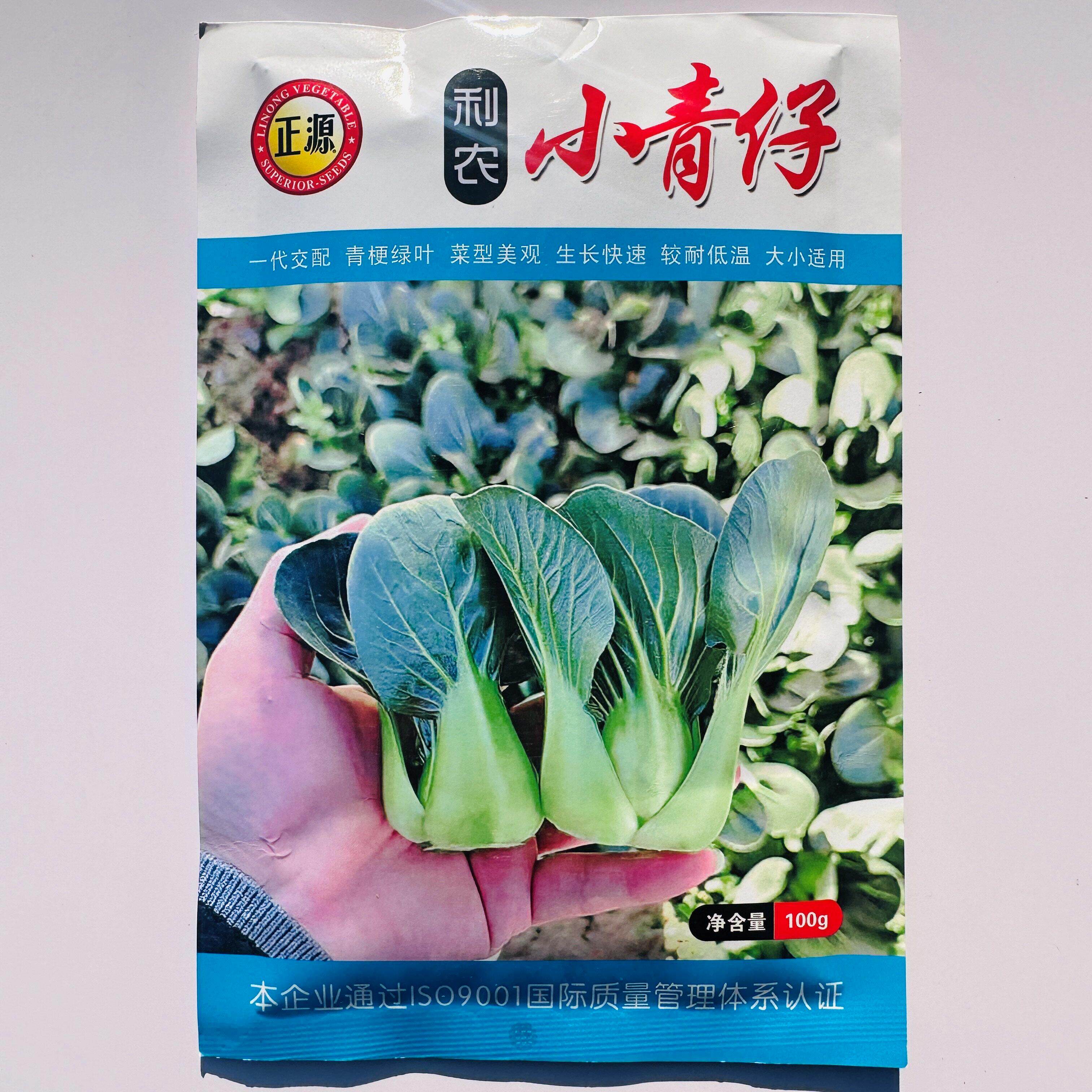广东和利农小青仔种子四
