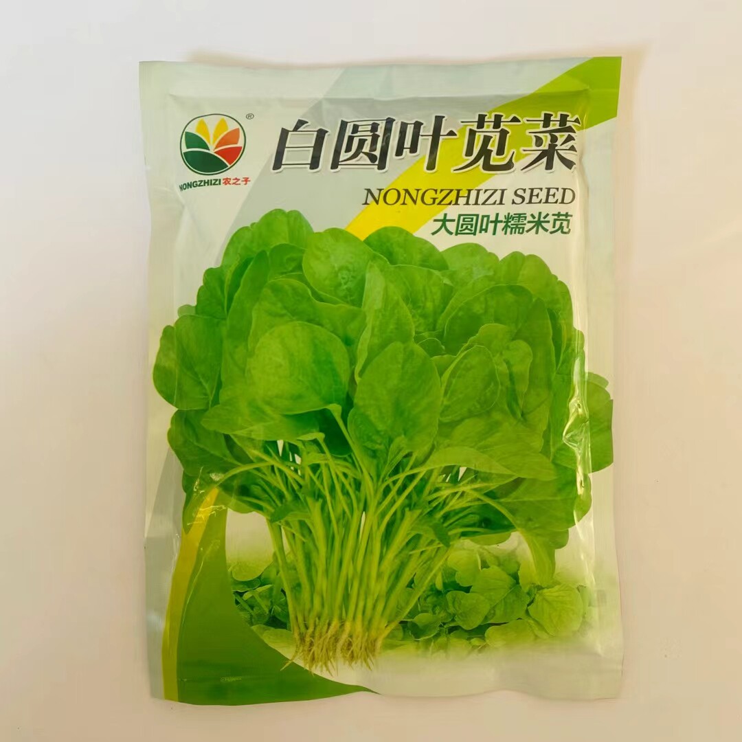 农之子白圆叶苋菜汉菜种子籽优质高纯度耐热耐湿抗病早熟正品
