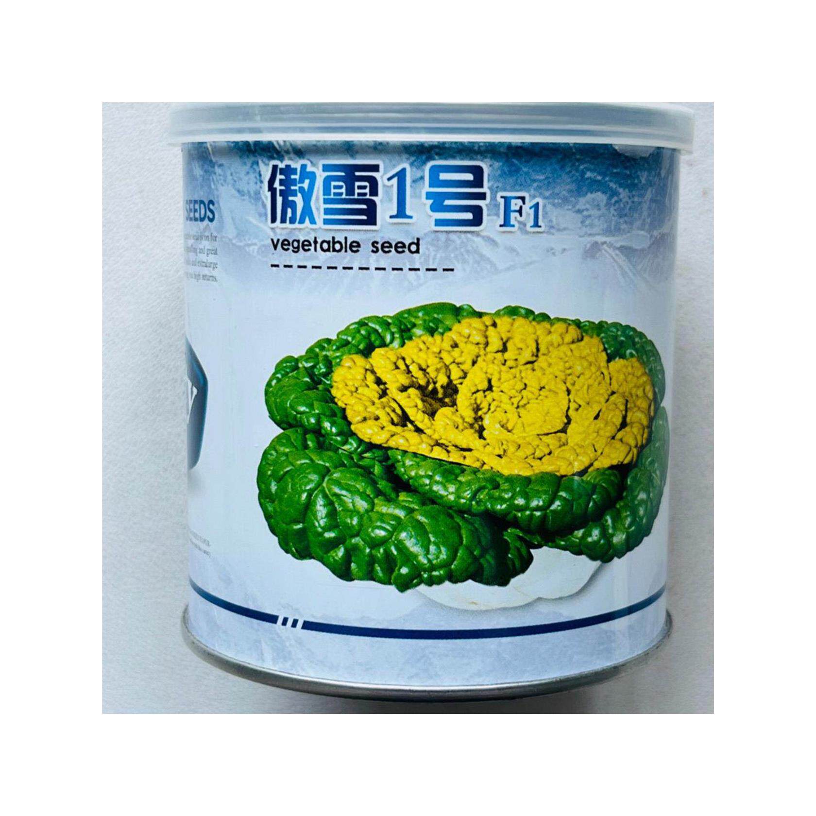 傲雪一号黄心乌种子矮颗