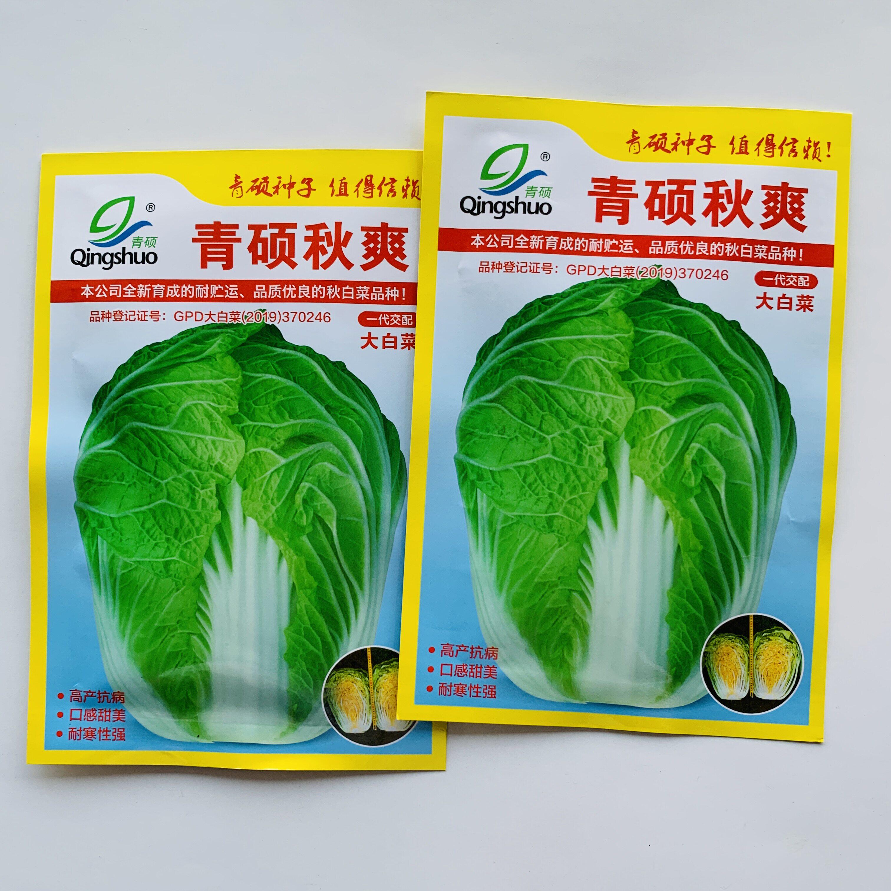 青硕秋爽大白菜种子山东
