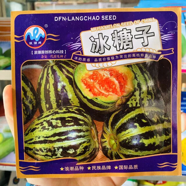 浪潮牌冰糖子甜瓜种子早熟抗病耐低温冰翡翠香瓜种籽春秋大田高产