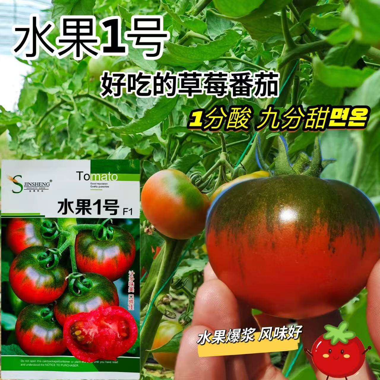 水果1号草莓番茄种子真甜
