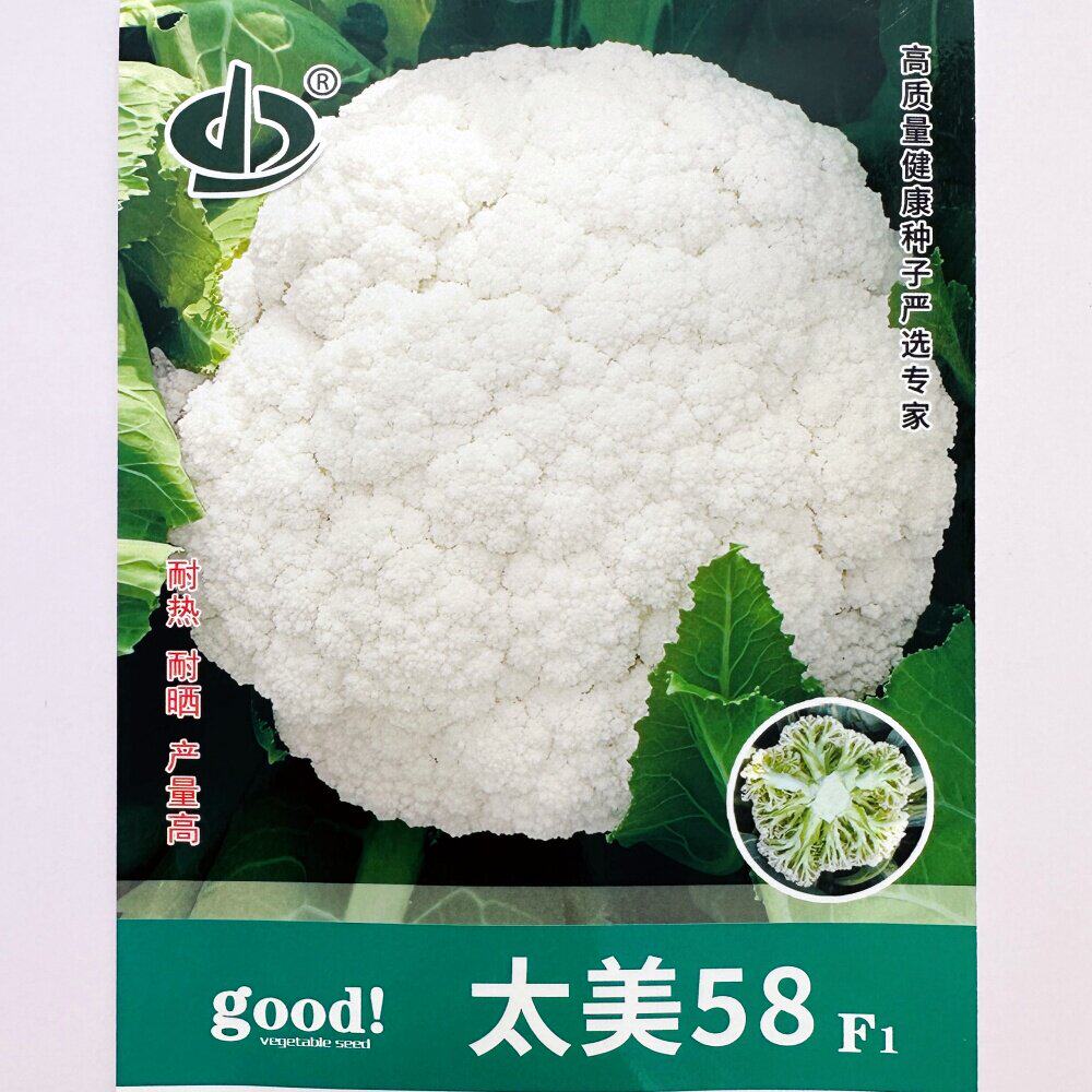 太美58白花菜种子青梗松