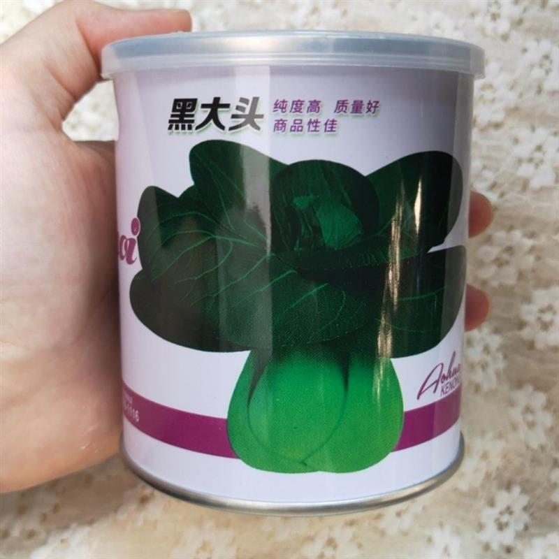 黑大头青菜青梗菜种子苏州青黑油菜种子上海青耐寒蔬菜种子罐装