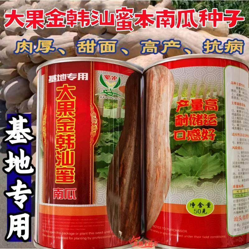 大果金韩汕蜜蜜本南瓜种