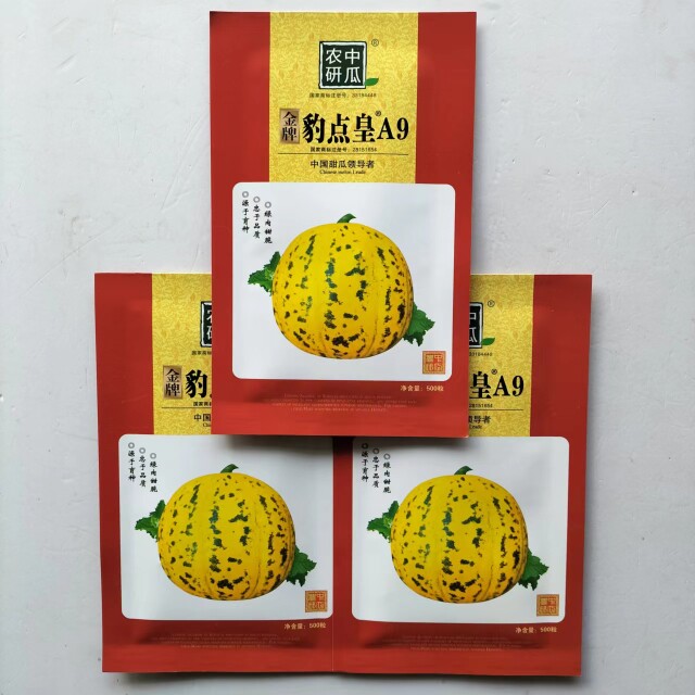 豹点皇A9八里香甜瓜种子高糖绿肉菜种籽早熟抗裂高产抗病蔬菜种子