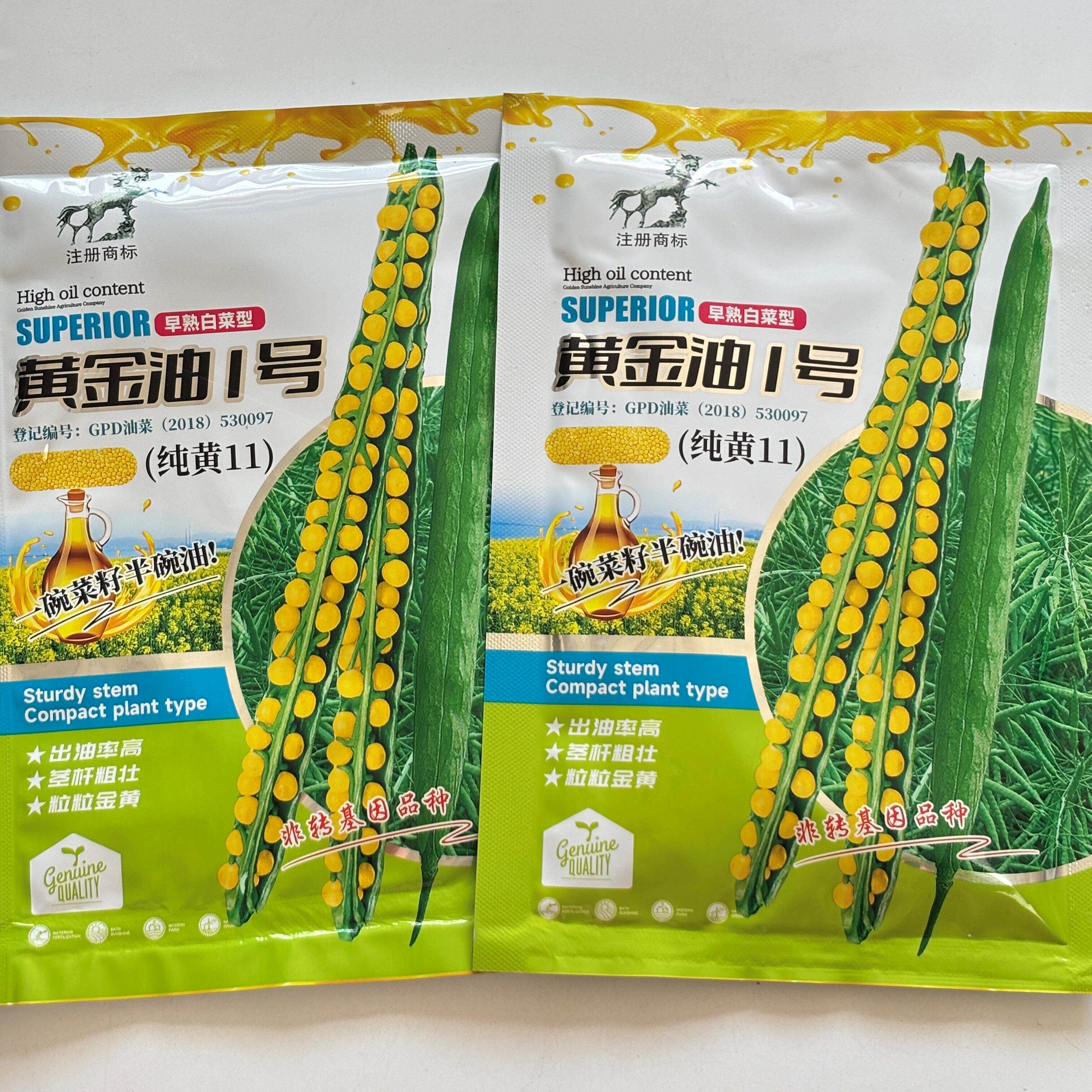 黄金油1号油菜种子黄色籽