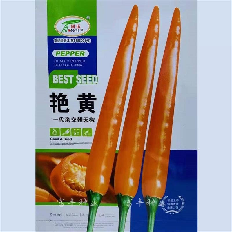 同乐艳黄杂交朝天椒种子高辣光亮艳丽单生朝天椒小米椒脂天椒种子