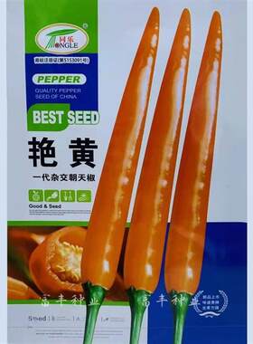 同乐艳黄杂交朝天椒种子高辣光亮艳丽单生朝天椒小米椒脂天椒种子