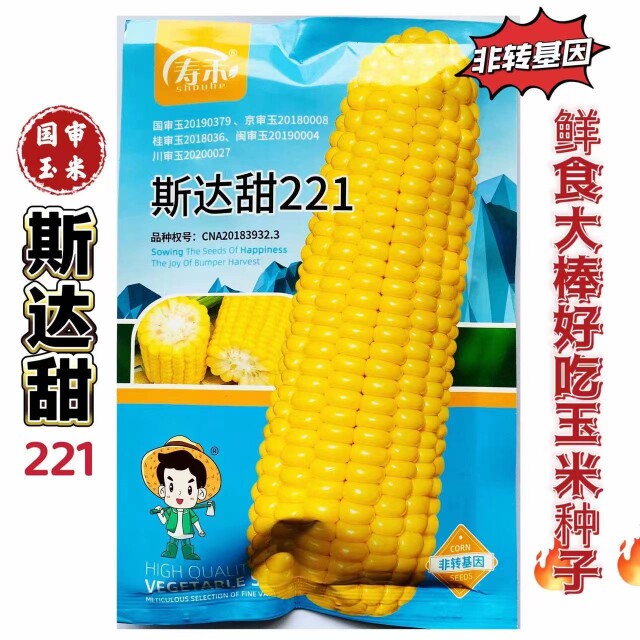 斯达甜221玉米种子早熟超甜水果玉米种籽特大高产甜糯春夏秋季播