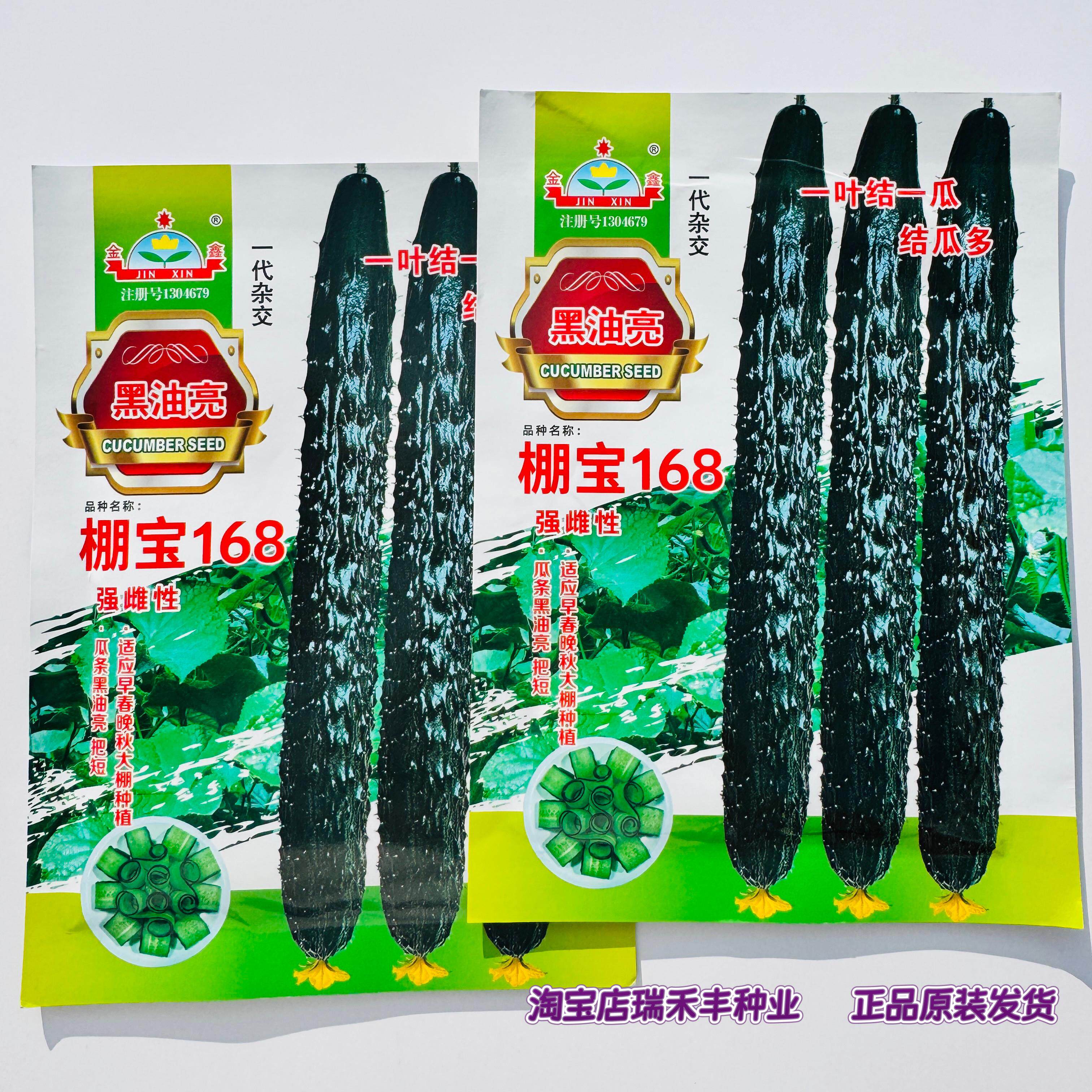 棚宝168早熟强雌性黑油亮