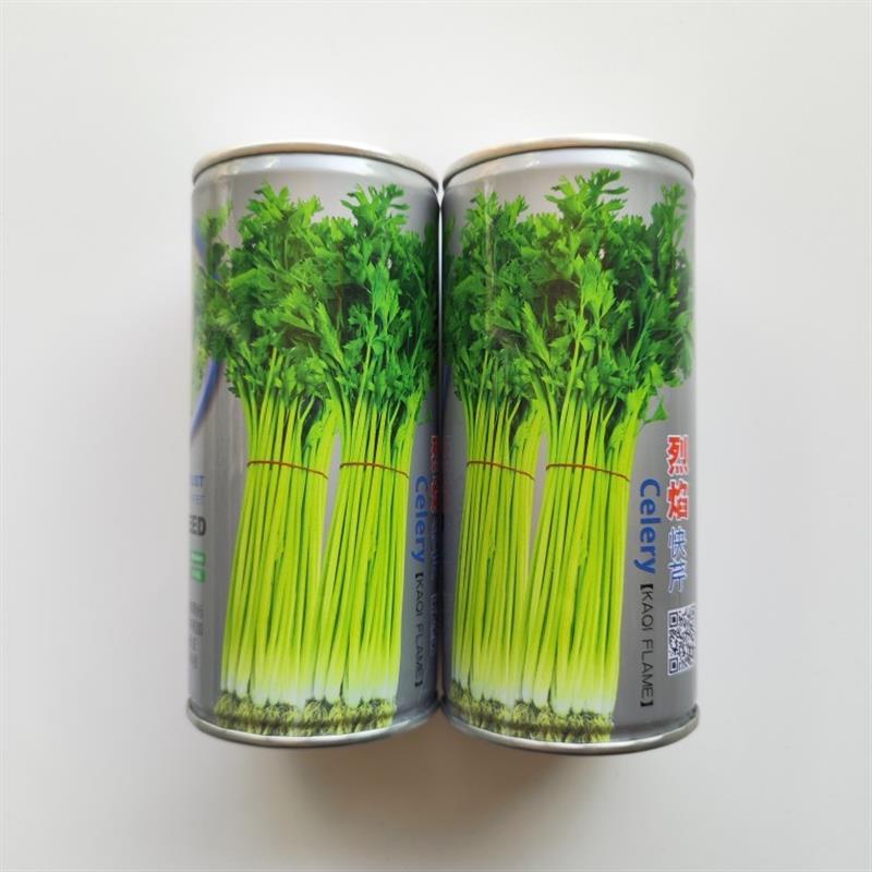 烈焰快芹种子四季香芹耐热高产菜种籽春秋四季阳台盆栽蔬菜孑