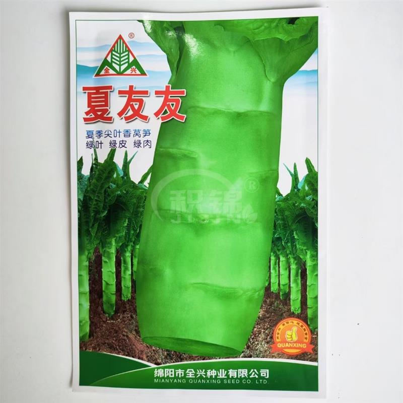 全兴夏友友抗热尖叶香莴笋种子三青浓香高产耐热商品性佳夏秋播种