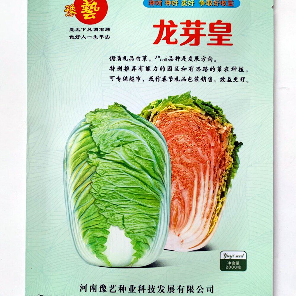龙芽皇大白菜种子橘红心