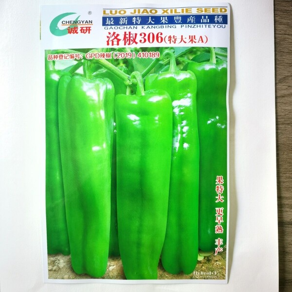 洛椒306 超大果型特大果A牛角辣椒种子早熟薄皮菜椒泡椒种籽诚研