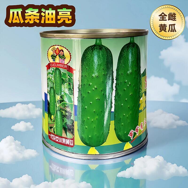 全雌C9黄瓜种子瓜条油亮