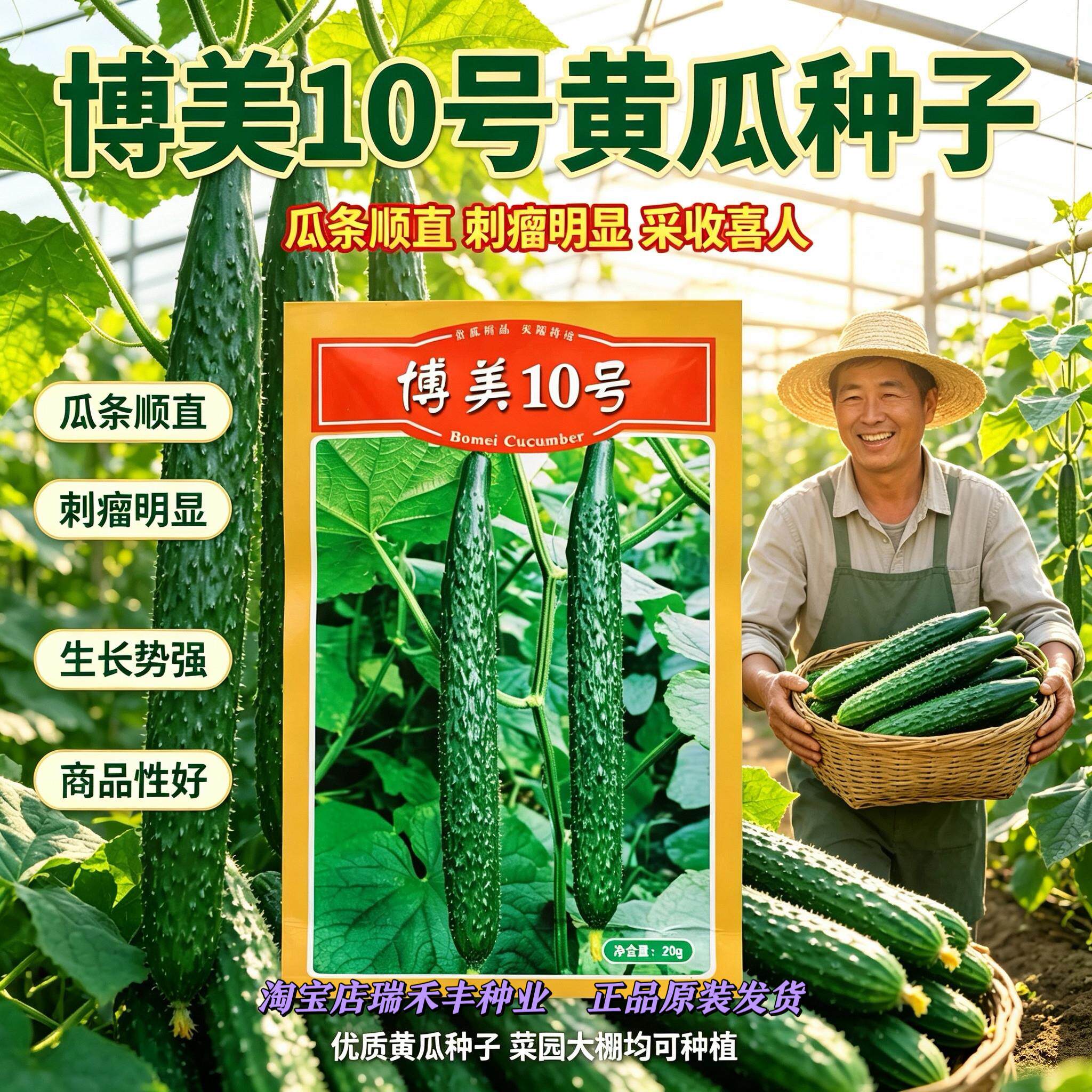 德瑞特博美10号黄瓜种子
