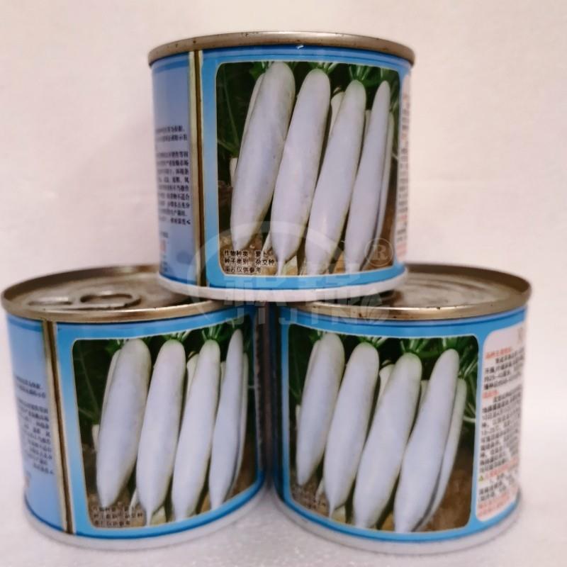玉春剑萝卜种子蔬菜种子新育成杂交籽早熟白萝卜品种耐抽薹菜种籽