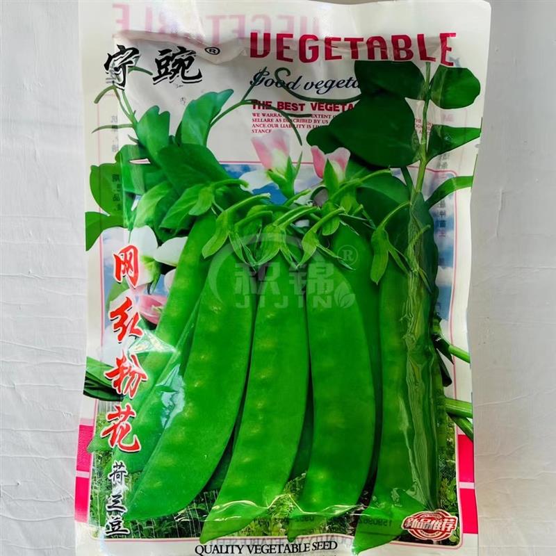 宁豌网红粉花荷兰豆种子豌豆苗四季甜蔬菜豌豆种籽孑籽种莱尖碗豆